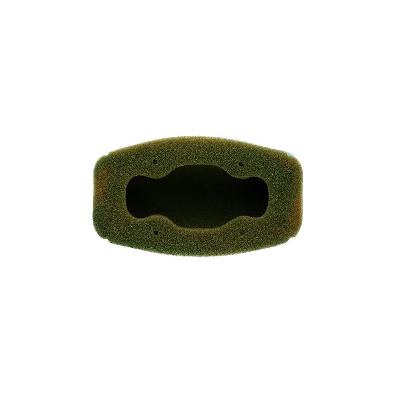 TWIN AIR Filtro de aire prelubricado 154011X 1124987