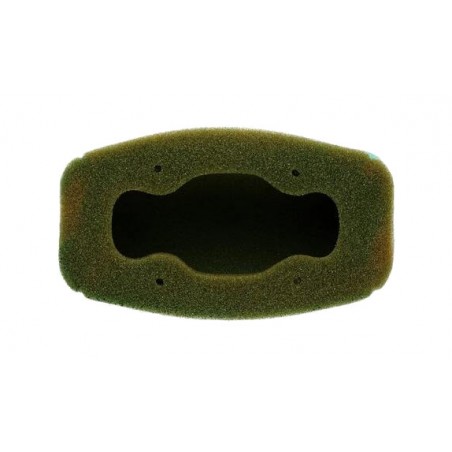 TWIN AIR Pre-lubricated filter 154011X 1124987