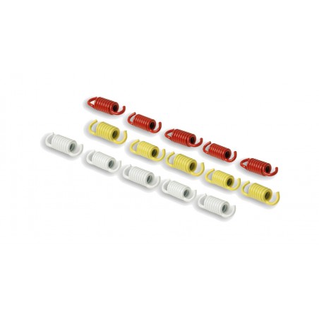 MALOSSI Kit de muelles embrague 1106976