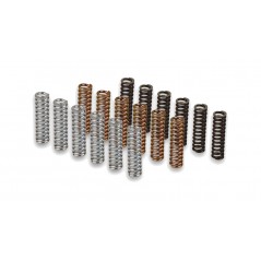 MALOSSI Clutch spring kit 1125545