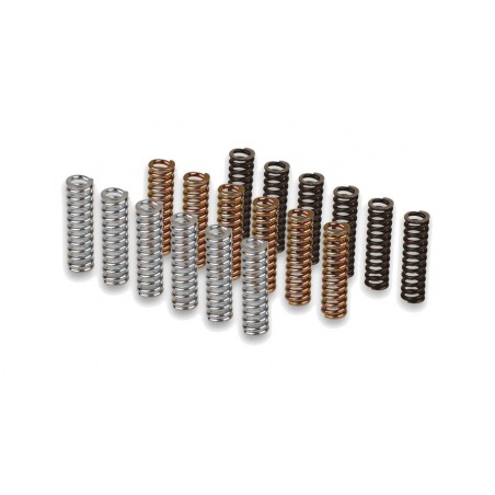 MALOSSI Clutch spring kit 1125545