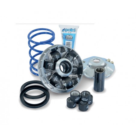 POLINI motor variator PIAGGIO HI-SPEED EVOLUTION 1124766