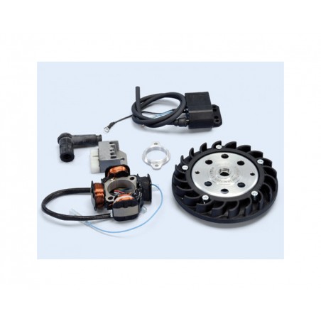 POLINI ENCENDIDO 1125937