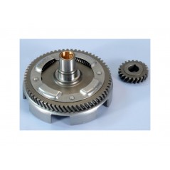 POLINI Desarrollo primario Z22-63 1126004