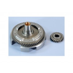 POLINI Desarrollo primario Z24-61 1126005