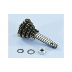 POLINI Desarrollo engranaje primario Z14/10/17/20 1126013