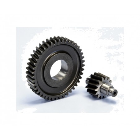 POLINI Secondary gear development Z14-43 1126017