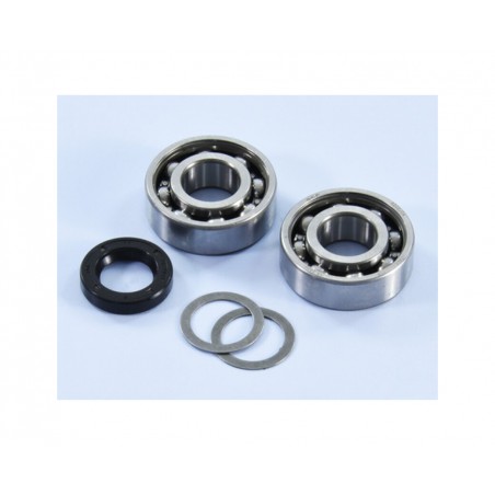 POLINI Kit de rodamientos y retenes CIGÜEÑAL 1126140