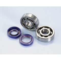 Kit, adjustment, crankshaft  MINARELLI AM6 (2820003)