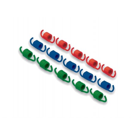 MALOSSI Kit de muelles embrague 1106977