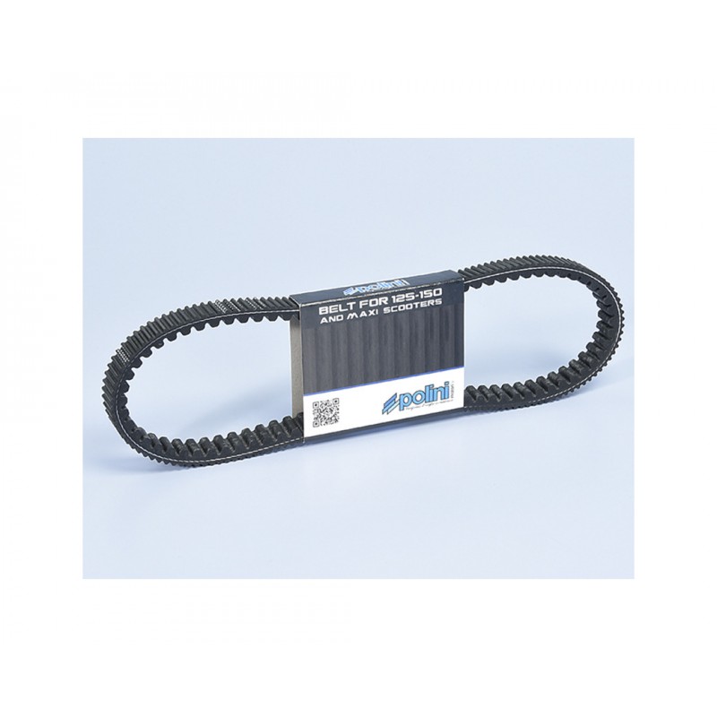 POLINI transmission band 1104254
