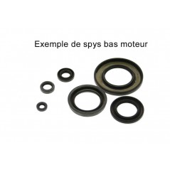 CENTAURO Crankshaft seal kit 1127935