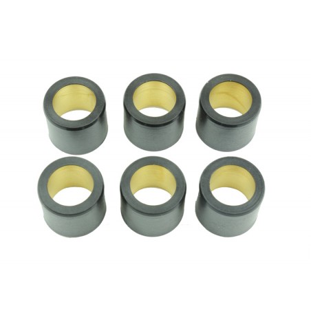 ATHENA Inverter rollers 25X22,2MM 30GR - 6U 1014421