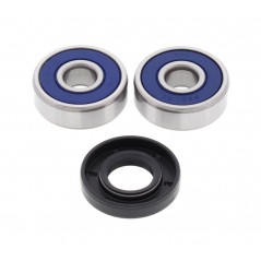 ALL BALLS Wheel bearing kit 1127830