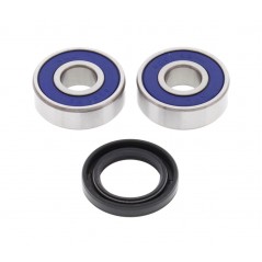 ALL BALLS Wheel bearing kit 1127833