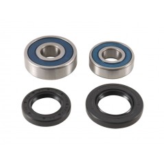ALL BALLS Wheel bearing kit 1127840