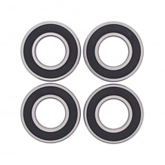 ALL BALLS Wheel bearing kit 1127843
