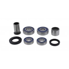 ALL BALLS Wheel bearing kit 1127847