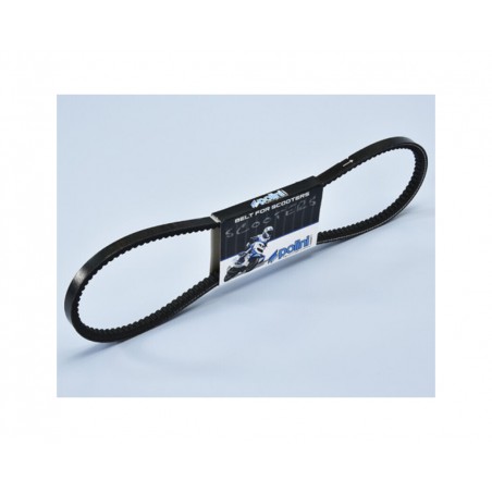 POLINI transmission band 1126125