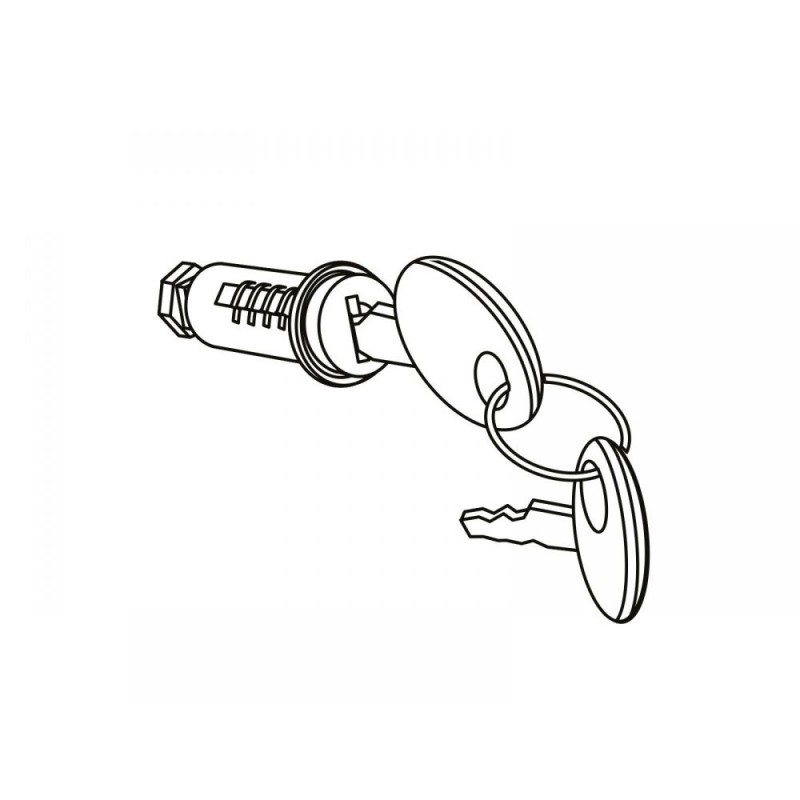 SHAD Spare Cylinder Key Set for Trunk Closure SH48 of the Brand SHAD SHAD 201896R