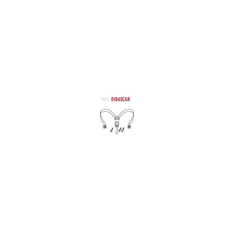 SHAD INTERNAL SPARES FOR TRUNK OR BAG SH45 SH 45 SH45 SH 45 D1B45CGR