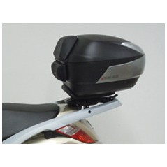 TRUNK SUPPORTS, ANCHORS, SETTINGS