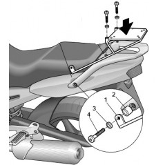 TRUNK SUPPORTS, ANCHORS, SETTINGS