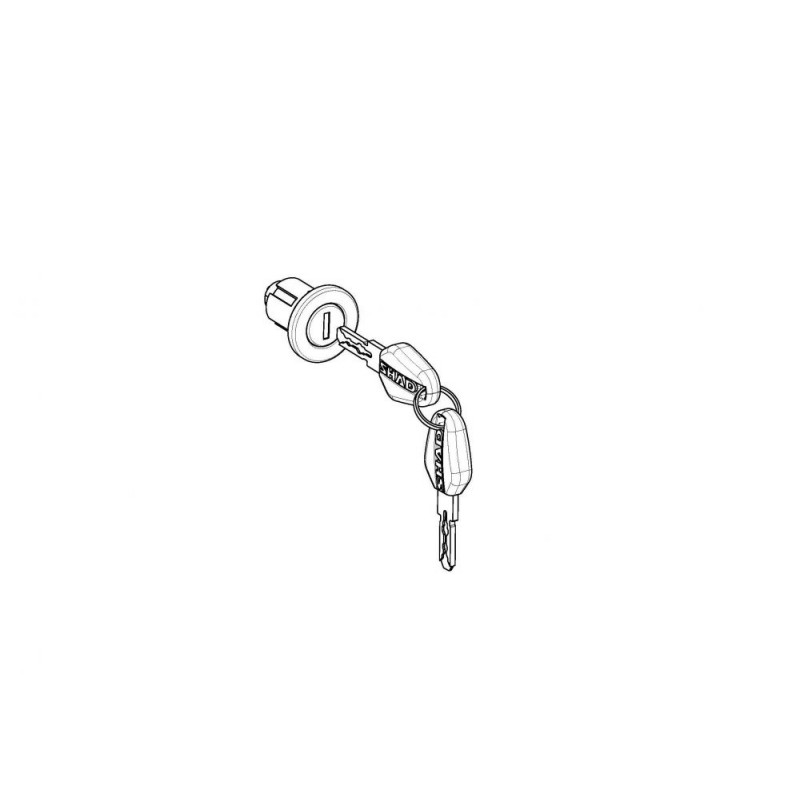 SHAD Kit de cerraduras y llaves para cerrajas la marca 203076R