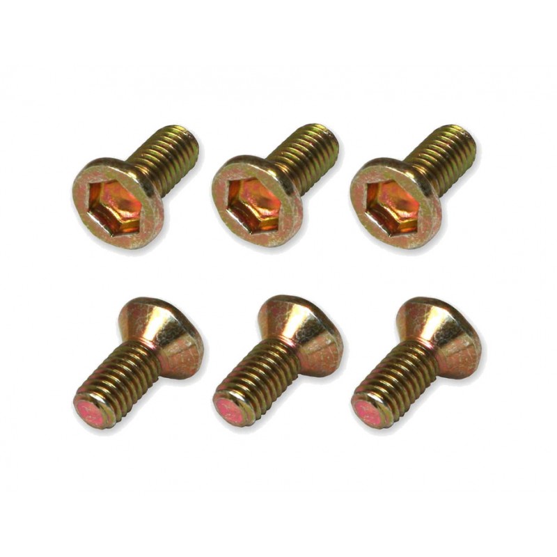 RFX Front brake disc screw kit 1128516