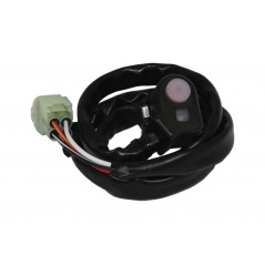 RFX Botón de selector mapa RACE - TIPO OEM 1128594