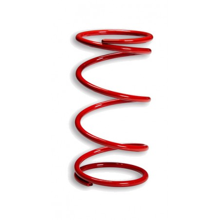 MALOSSI Contrast spring 1106974