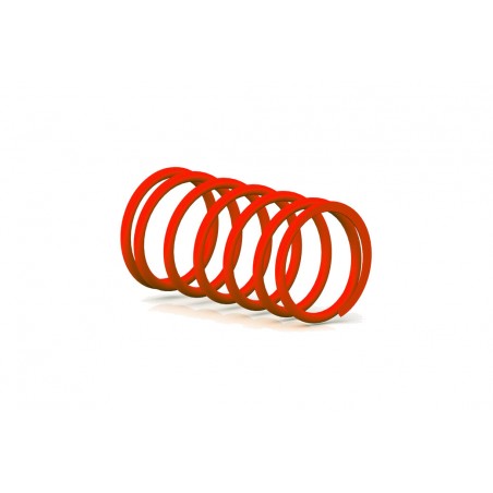 MALOSSI Contrast spring 1106978