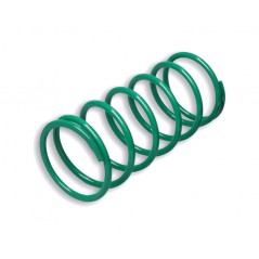 MALOSSI Muelle de contraste 1107007