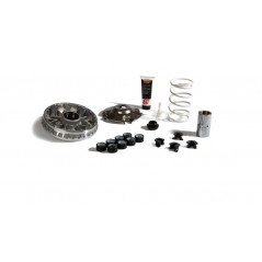 MALOSSI VARIADOR MULTIVAR 2000 1123502