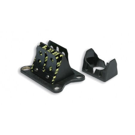 MALOSSI Caja de láminas con carbono VL17 MHR TEAM 0,30MM 1126274