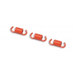 MALOSSI Racing clutch spring kit for Ø2MM DELTA Y FLY 1128161