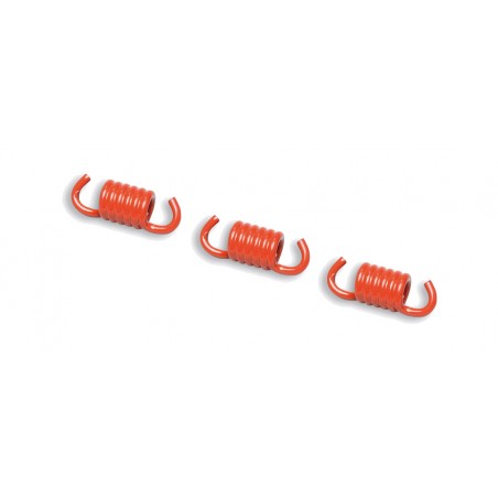 MALOSSI Racing clutch spring kit for Ø2MM DELTA Y FLY 1128161