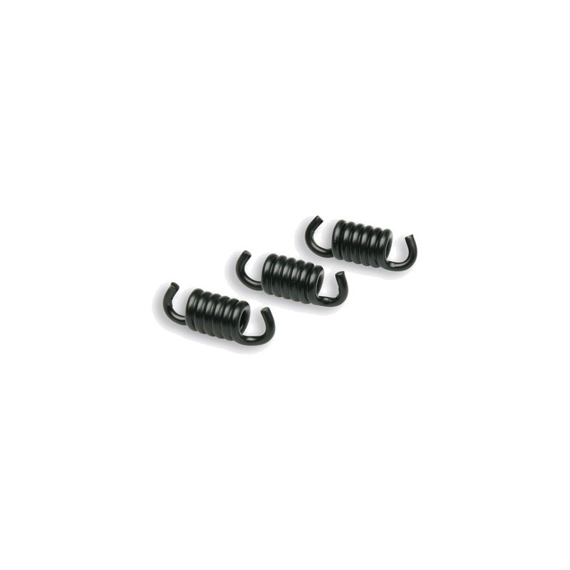 MALOSSI Racing clutch spring kit for Ø2,2MM DELTA Y FLY 1128162