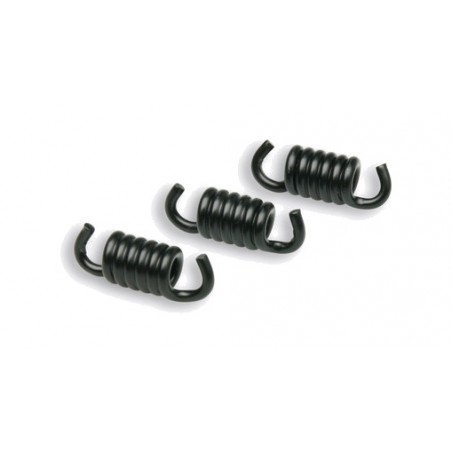 MALOSSI Racing clutch spring kit for Ø2,2MM DELTA Y FLY 1128162