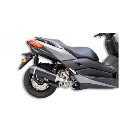 MALOSSI Muffler RX 1129826