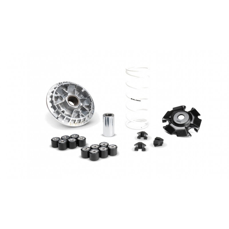 MALOSSI DRIVE MULTIVAR 2000 1130598