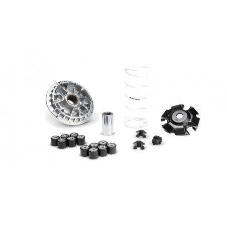 MALOSSI DRIVE MULTIVAR 2000 1130598