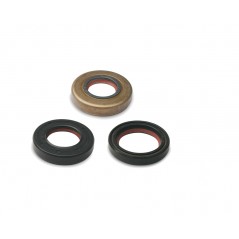 MALOSSI Oil seal for motorcycle inspection 50CC 1138504