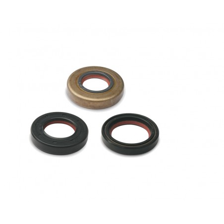 MALOSSI Oil seal for motorcycle inspection 50CC 1138504