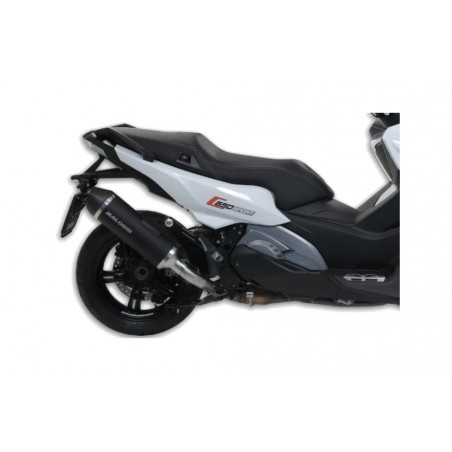 MALOSSI Muffler WILD LION MW C650 SPORT 746360