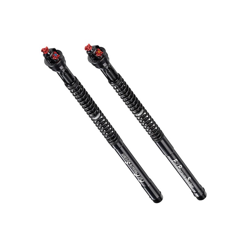 BITUBO Cartridges for fork 1043427