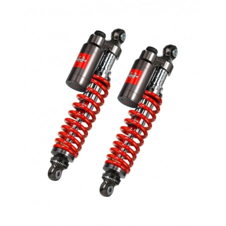 BITUBO Twin rear shock absorbers WMT01 1043607