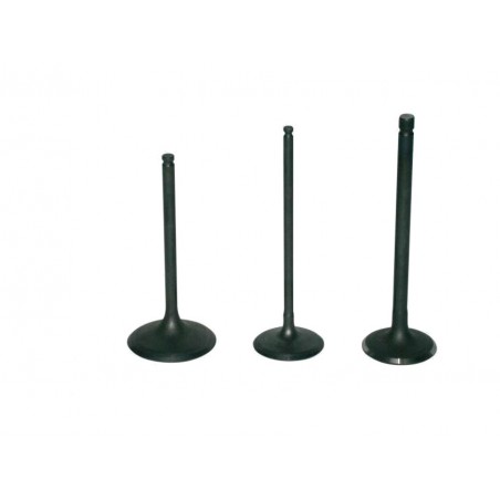 PROX Titanium exhaust valve 1122620