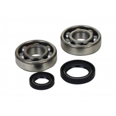 PROX Kit de rodamientos y retenes CIGÜEÑAL 1125658