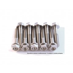 SCAR Kit de tornillos para motor titanio 4460115945